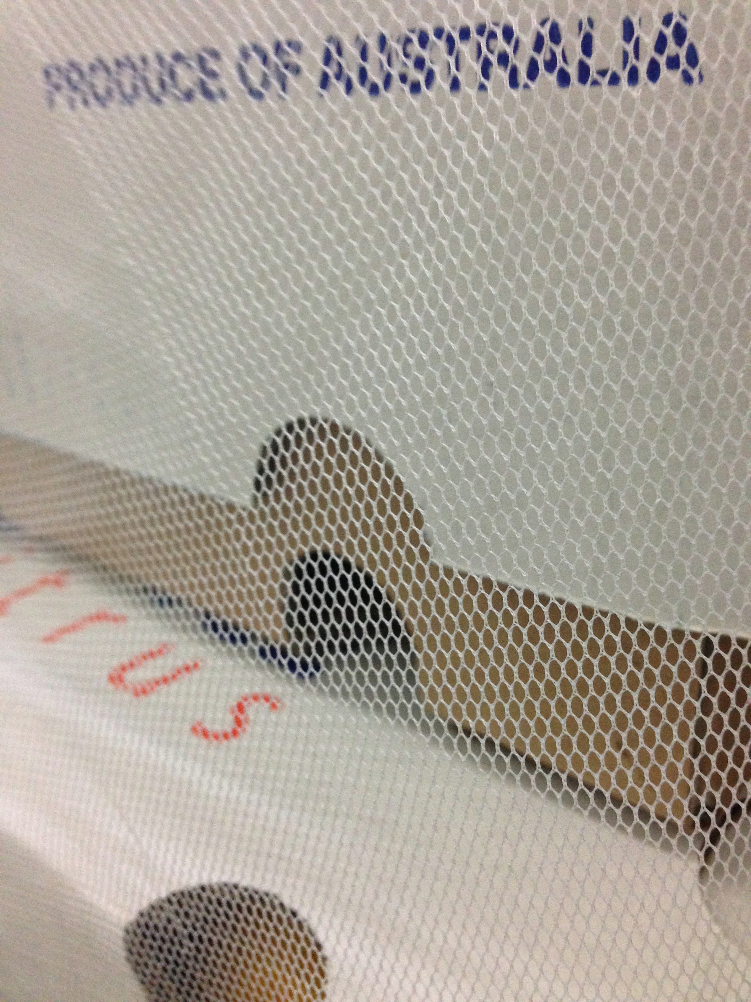 DAWR Pallet Quarantine Netting, 1250mm x 1250mm x 2400mm